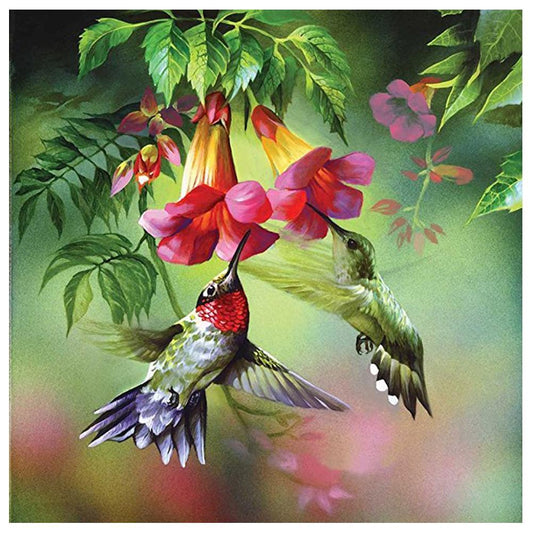 Hummingbird -  Full Round Drill Diamond Painting