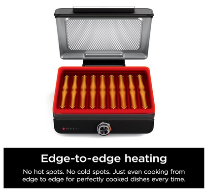 Smokeless Indoor Grill