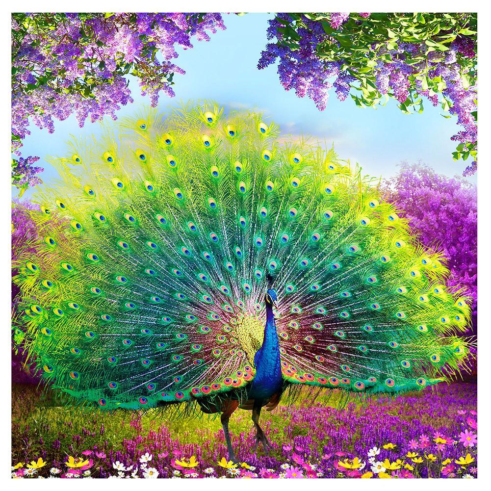 DIY Diamond Embroidery Peacock Painting for Home Decoration