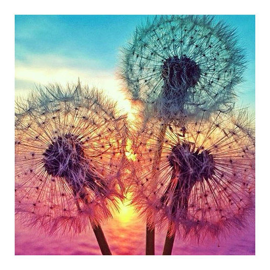 Full Drill Round 5D DIY Diamond Painting Dandelion Embroidery Decor(7313)
