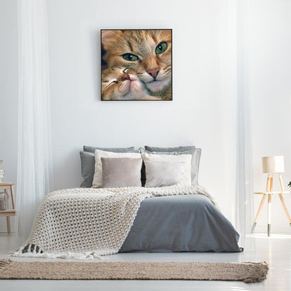 5D DIY Full Drill Diamond Painting Cat Cross Stitch Embroidery Mosaic Craft