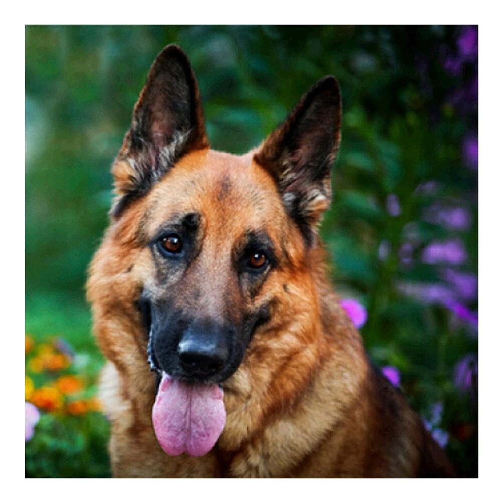 Dog 5D Round Diamond Painting Embroidery DIY Needlework Cross Stitch Set