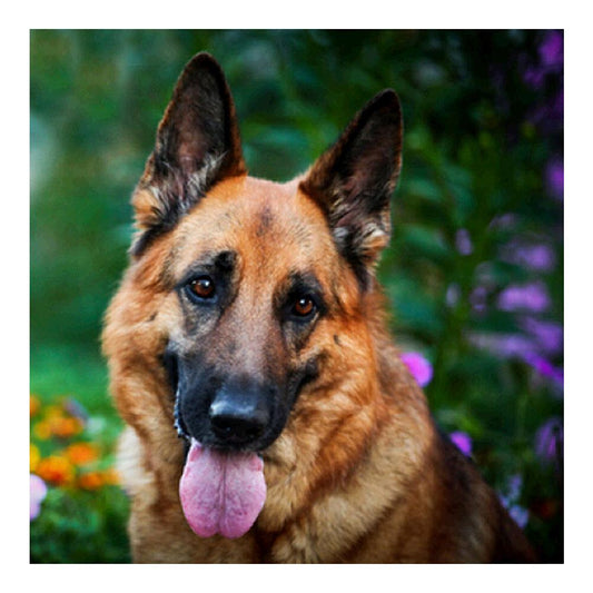 Dog 5D Round Diamond Painting Embroidery DIY Needlework Cross Stitch Set