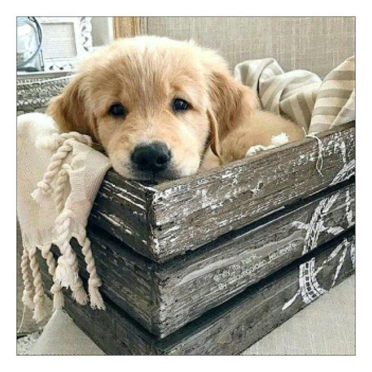 5D DIY Full Drill Diamond Painting Dog Cross Stitch Embroidery Mosaic Kit