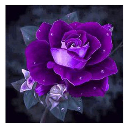 5D DIY Full Drill Square Diamond Painting Purple Rose Cross Stitch Mosaic